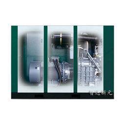 双级螺杆空压机