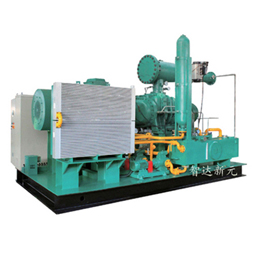 蒸汽型螺杆膨胀发电机